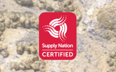 People First Fire: Supply Nation Certification