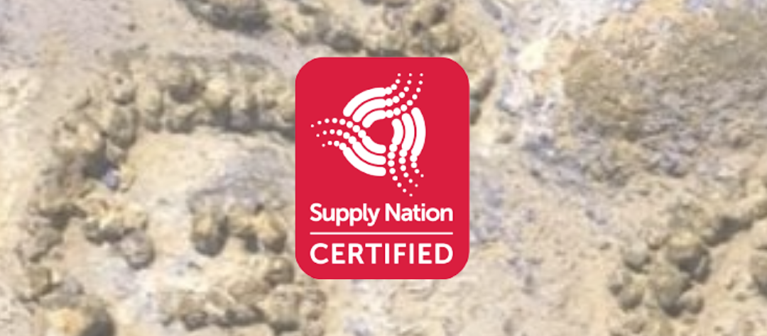 People First Fire: Supply Nation Certification